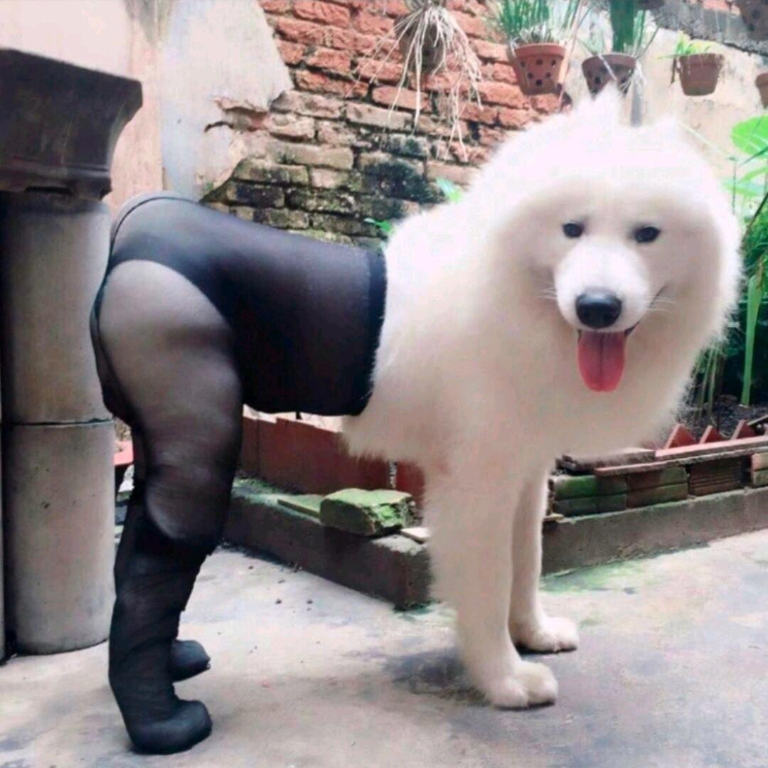 每天睡八个小时