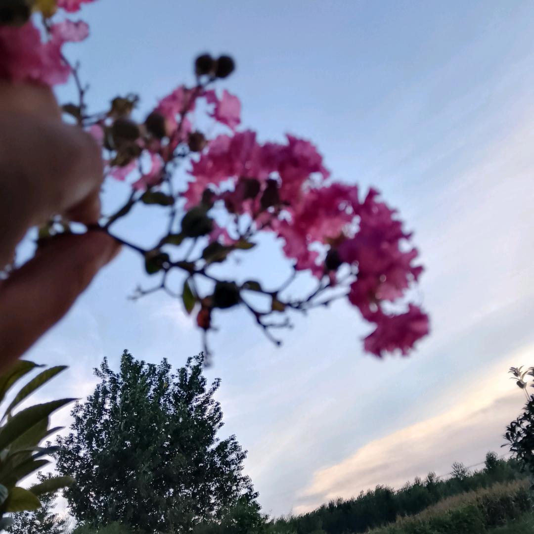 嗨我是@凡凡@哦