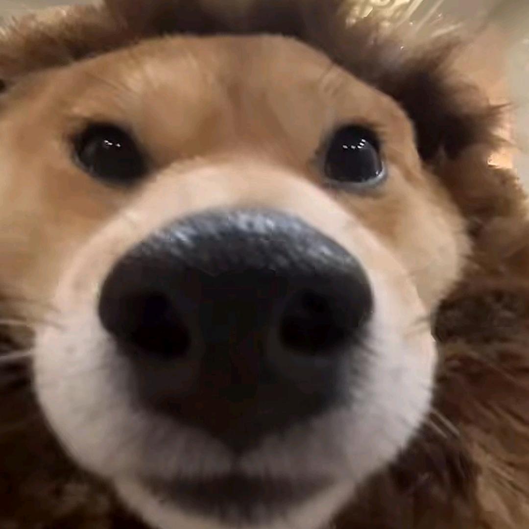 秦百胜