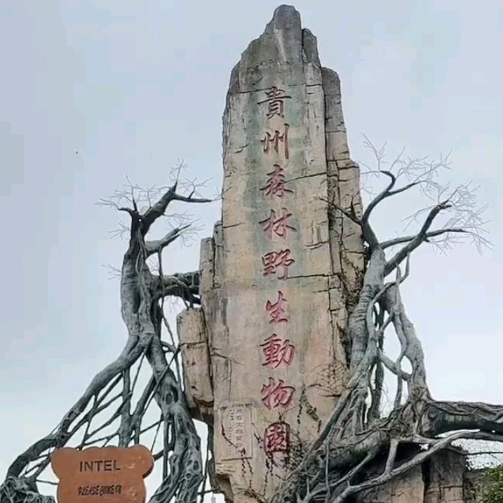 修文扎佐野生动物园