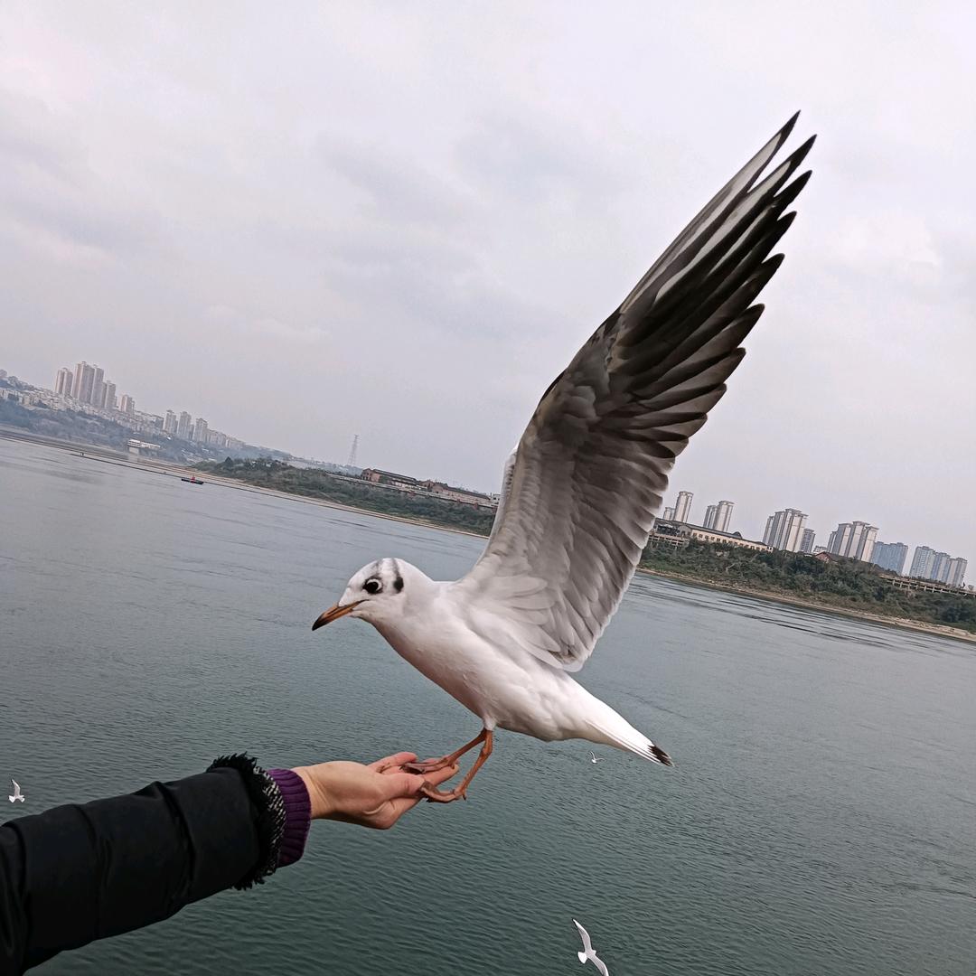 乐观小太阳