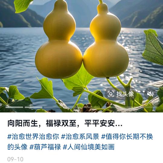 鑫鑫