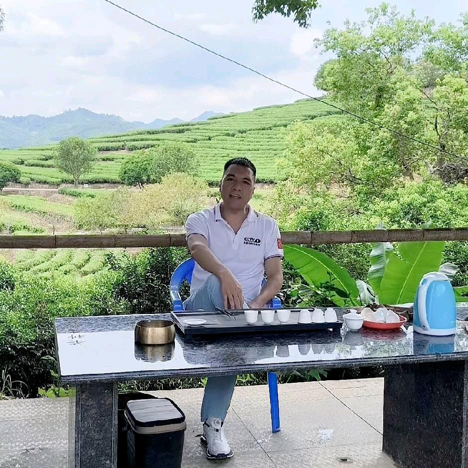 东芳茶业