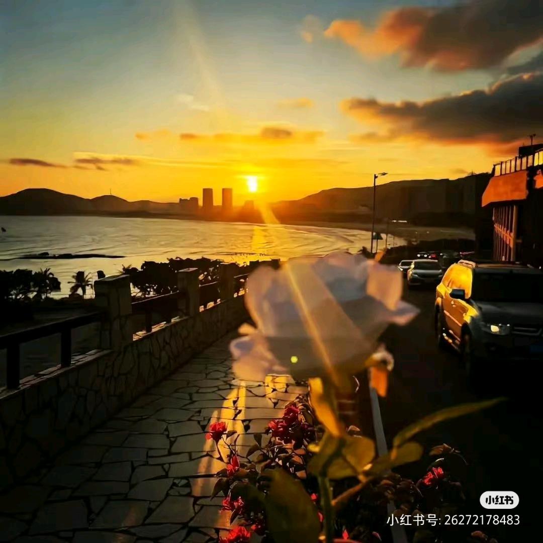 小欣星