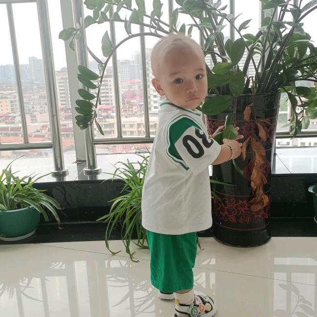 老毛黄牛肉（71年的猪）