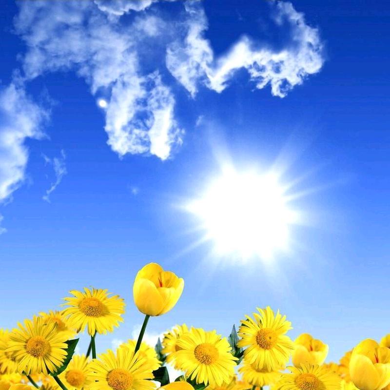 人生路【金宇高端疫苗】