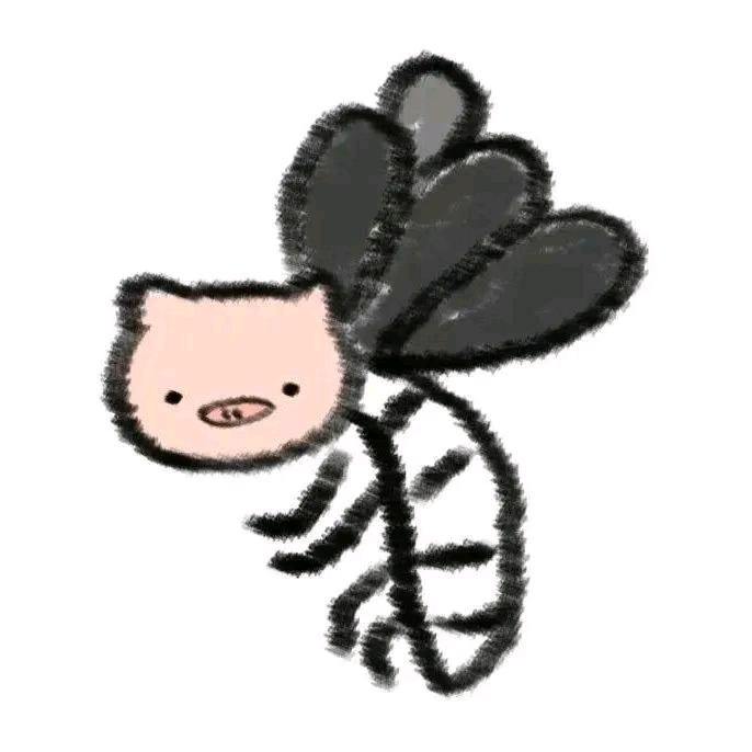 Dcy.