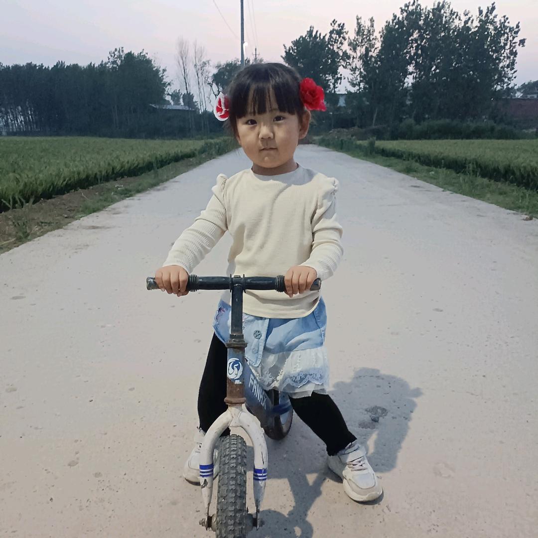 鱼的三秒记忆