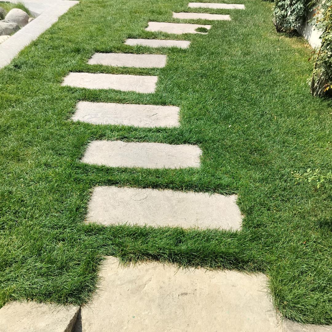 用户7066160627578