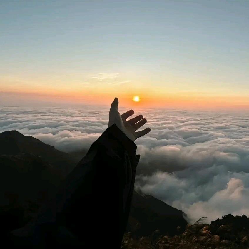 雾里看山