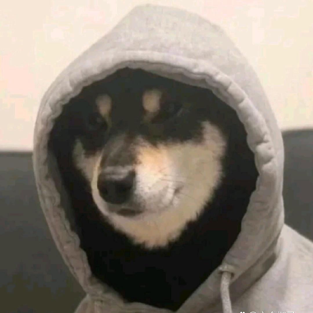 雾涧