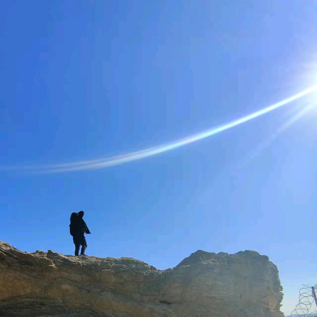 刘涛2920328141