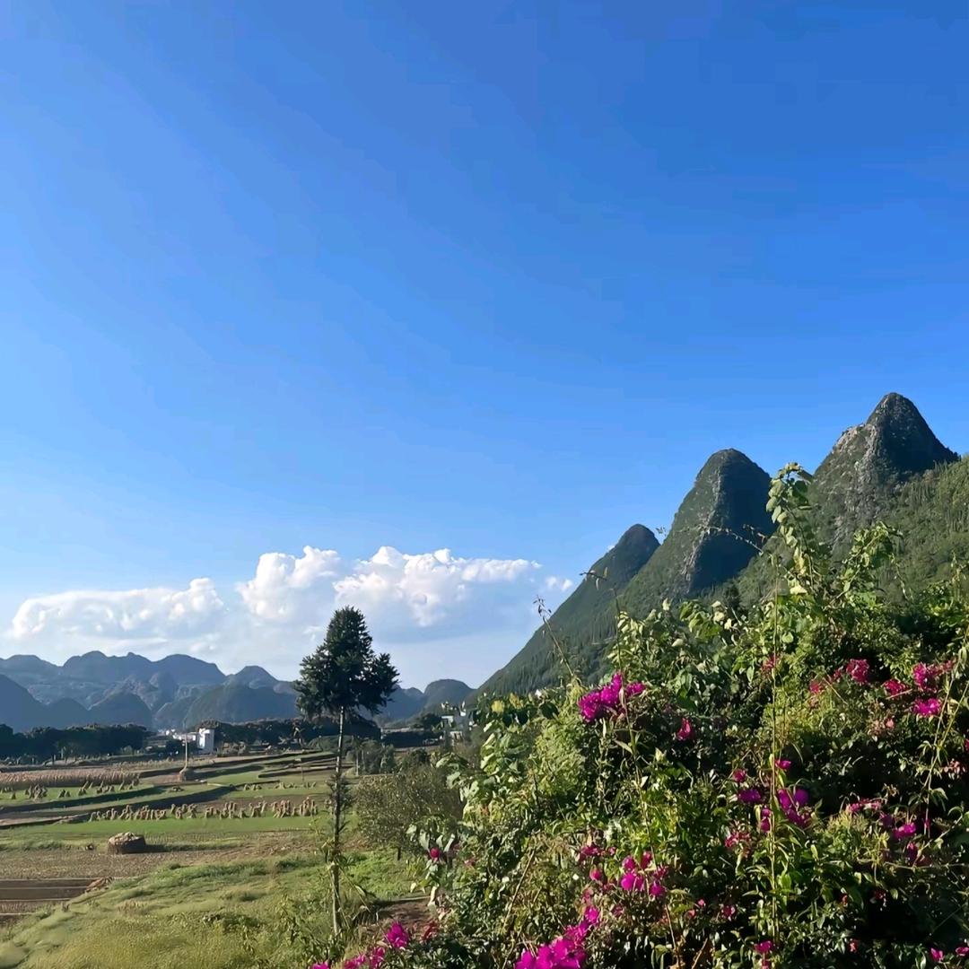 ZUNVO年度awtz直播号
