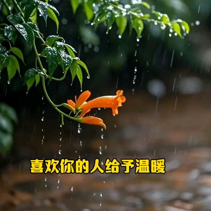 不爱我就不要来骗我