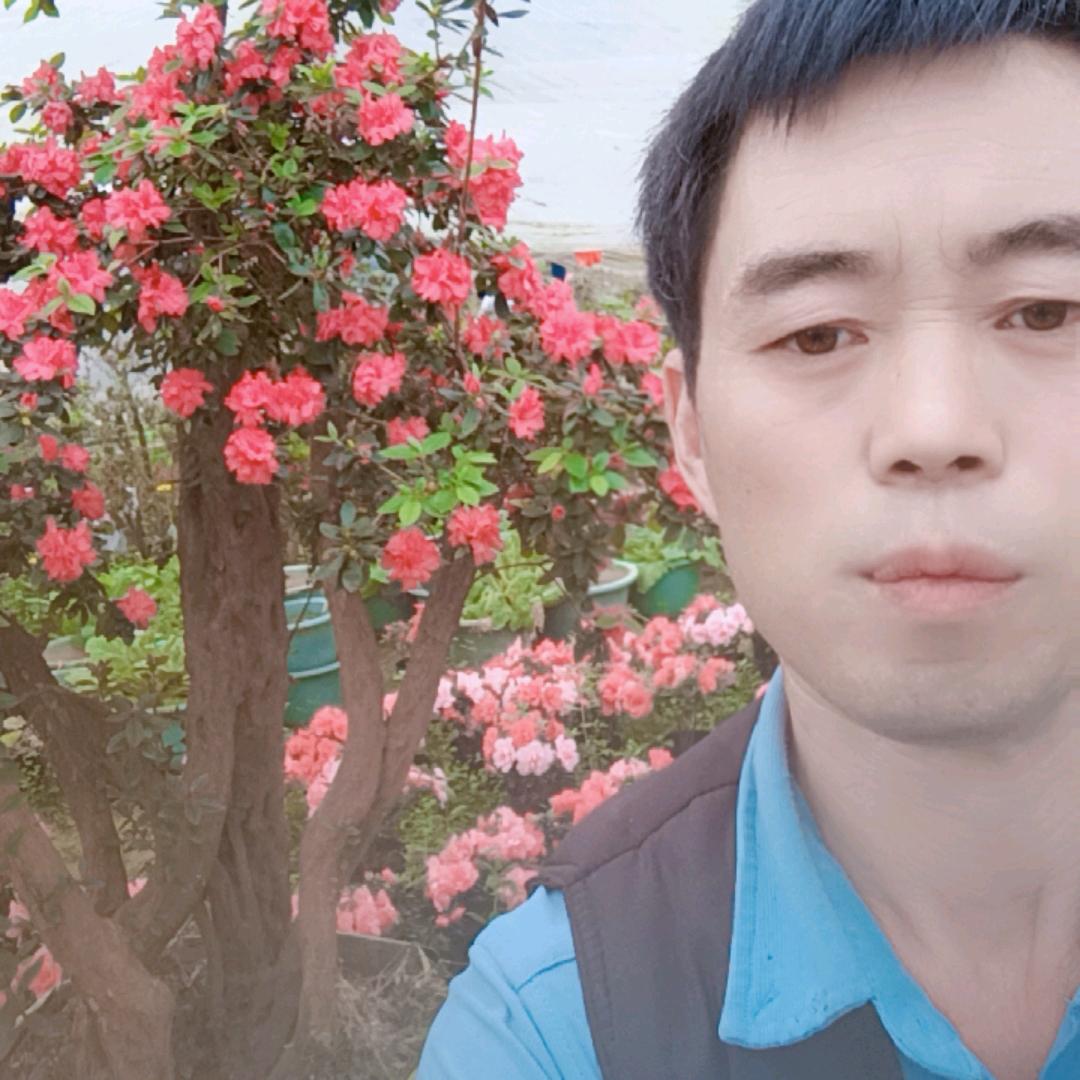 贵州联合花卉