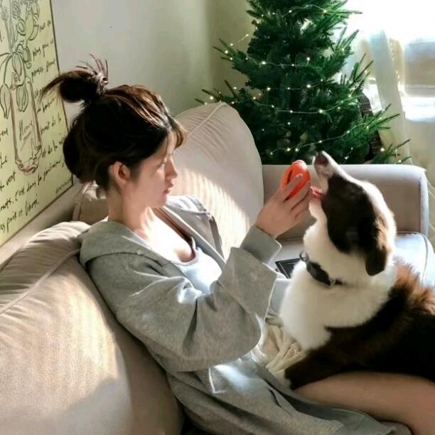 晓桐