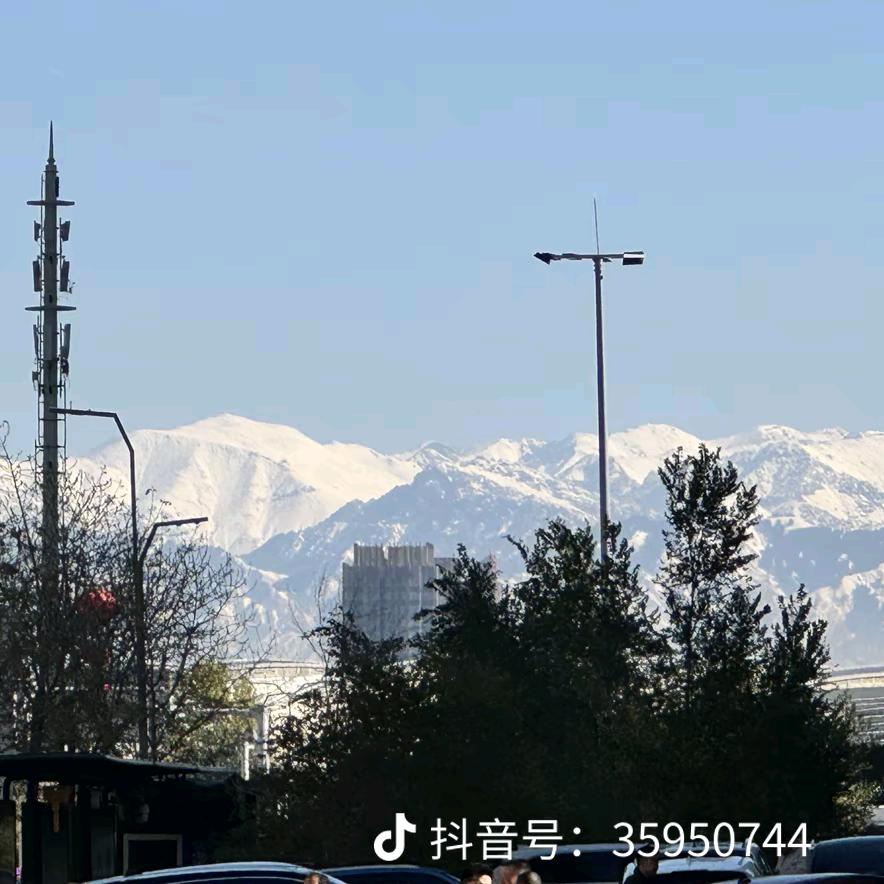 痴心绝 对