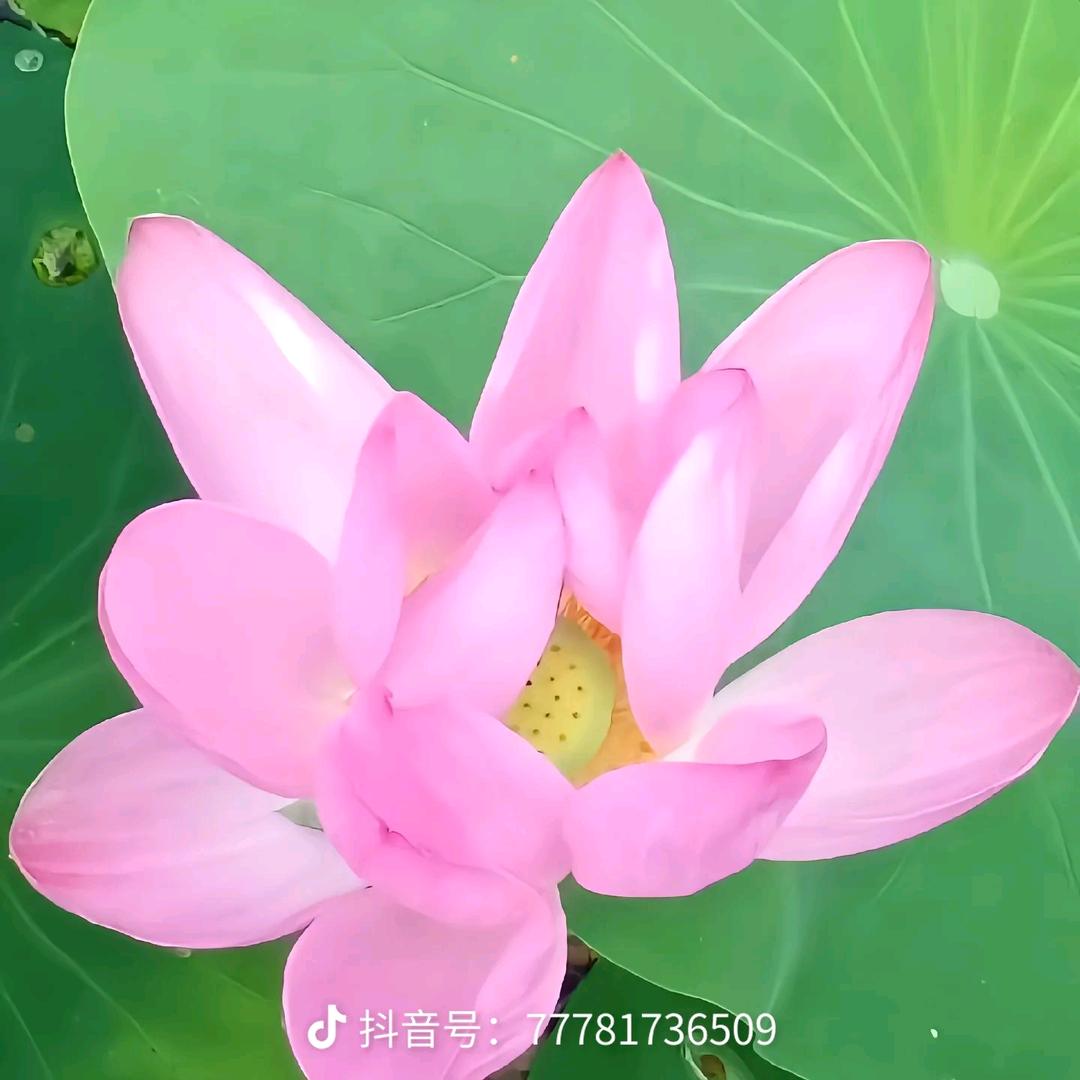 痴守过去
