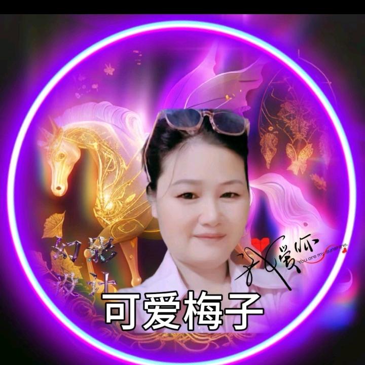 可爱梅子((晚八点十九播))