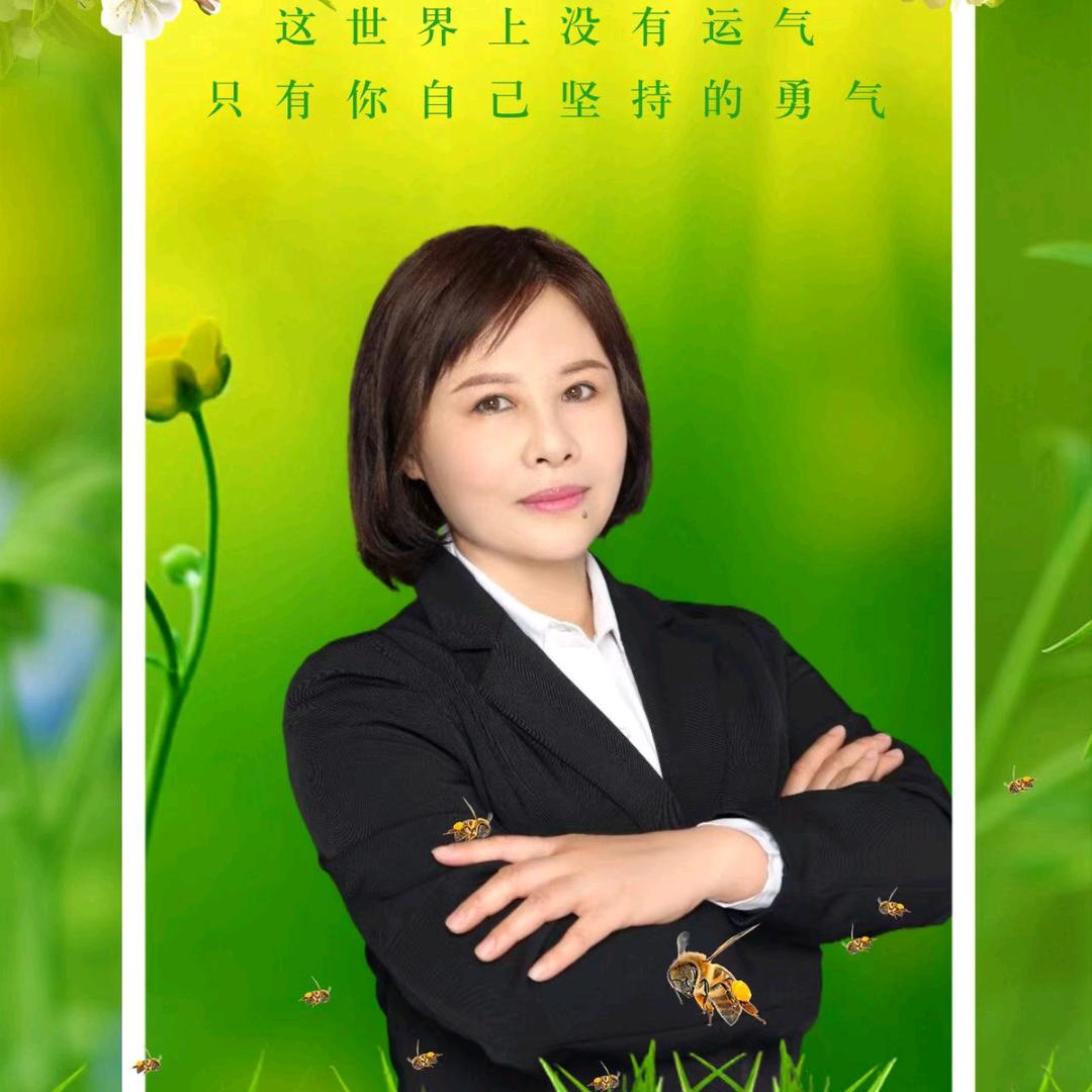 市监在线