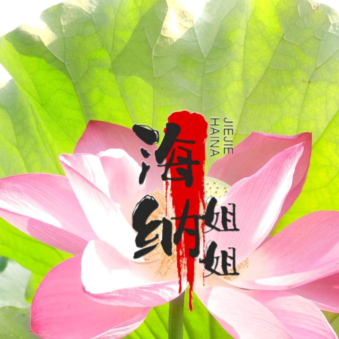 海纳姐姐好物推荐