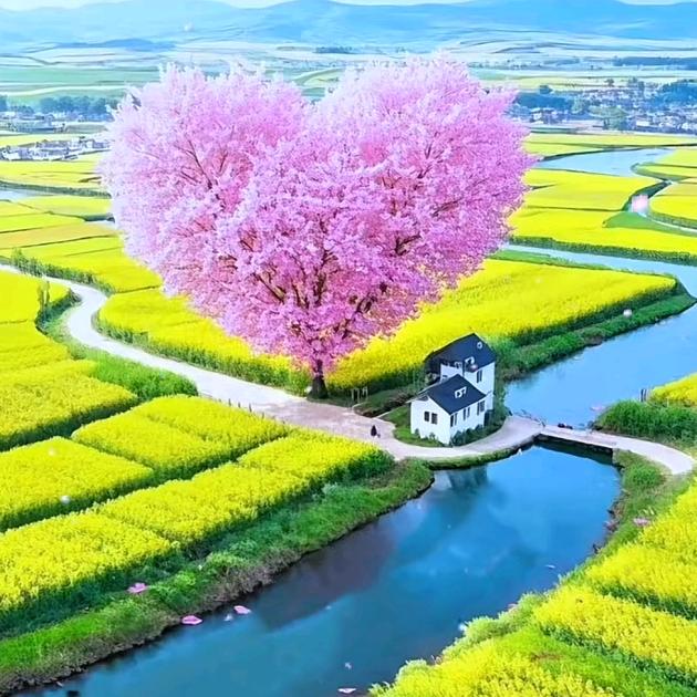 7🌻秒🌻记🌻忆💞