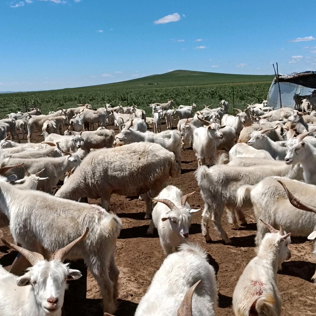 一起努力吧？！！！！