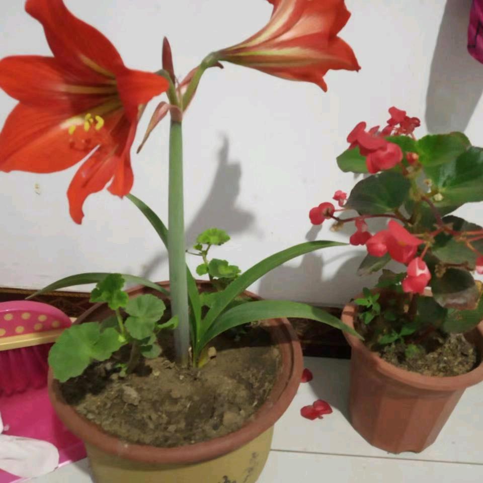 顺其自然★