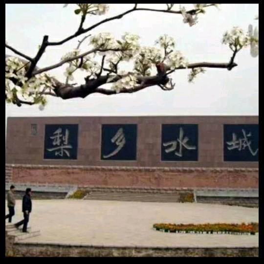 用户9211276747271平