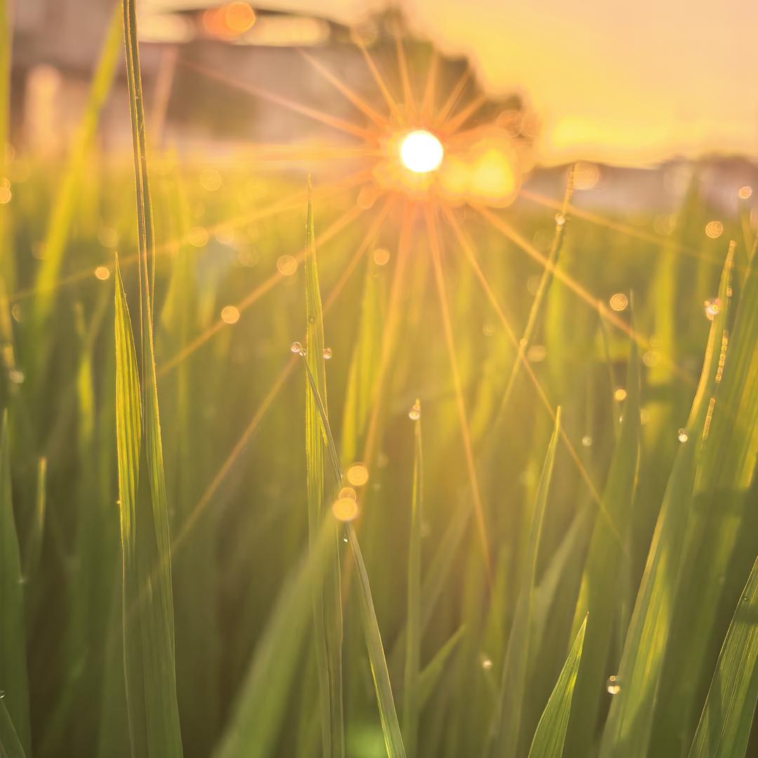 绿港农产品供应链