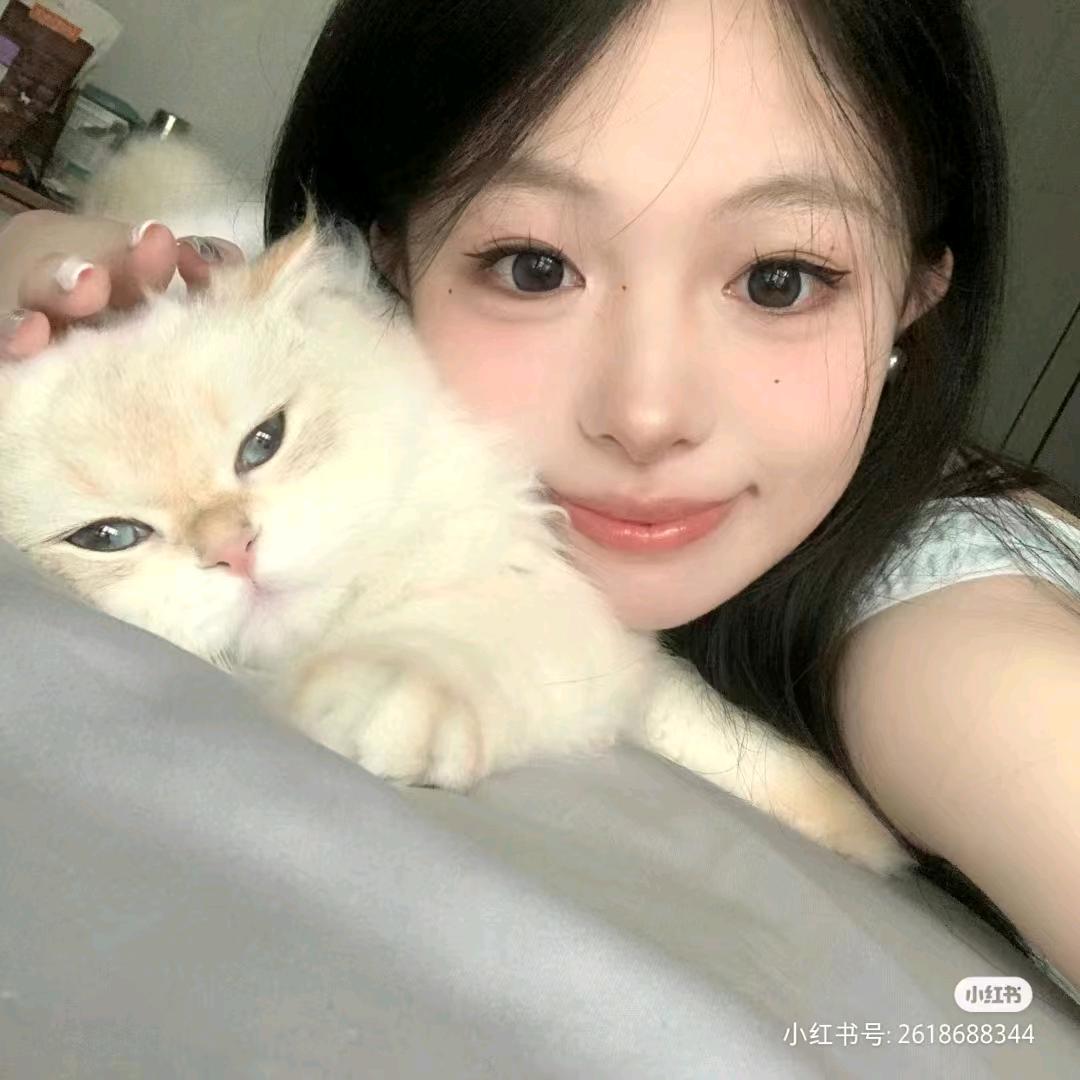 海绵小星