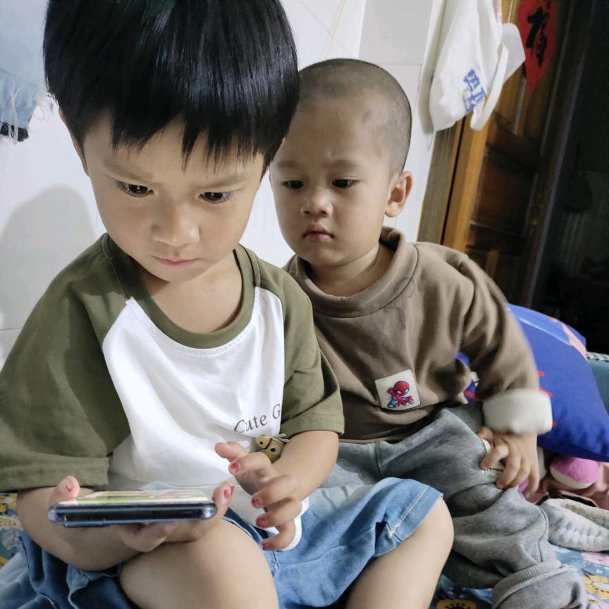 小杨鹏