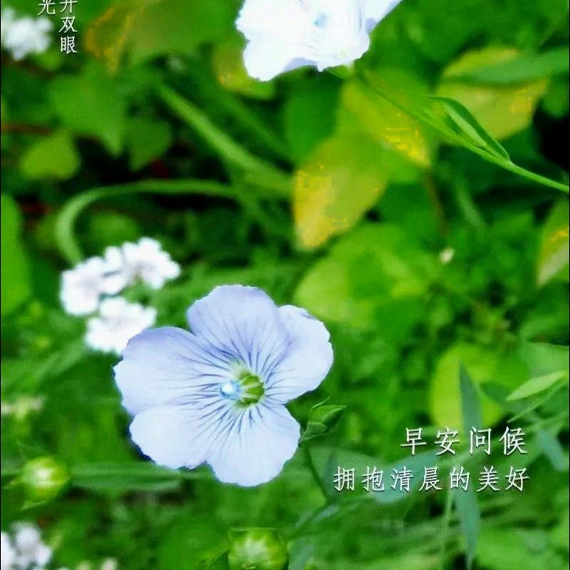 凨凪凨夙