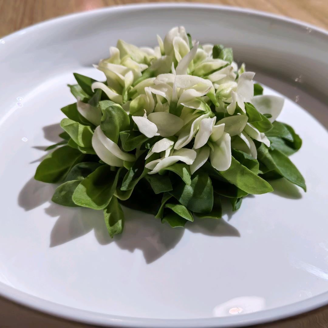 前程似锦