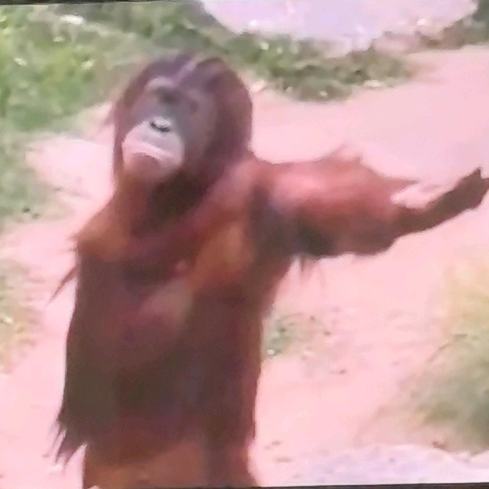 我是学生送我