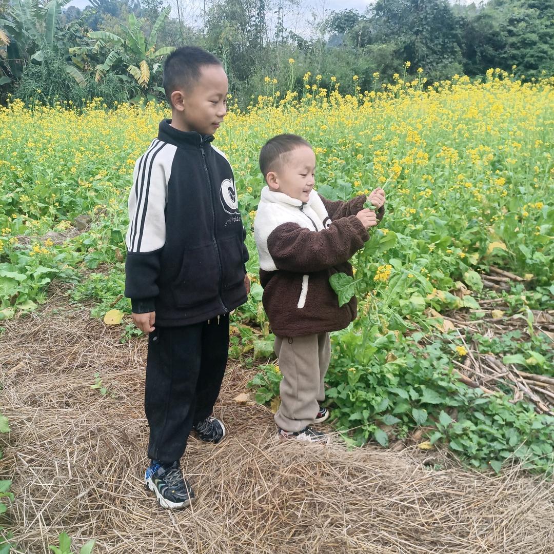 好听