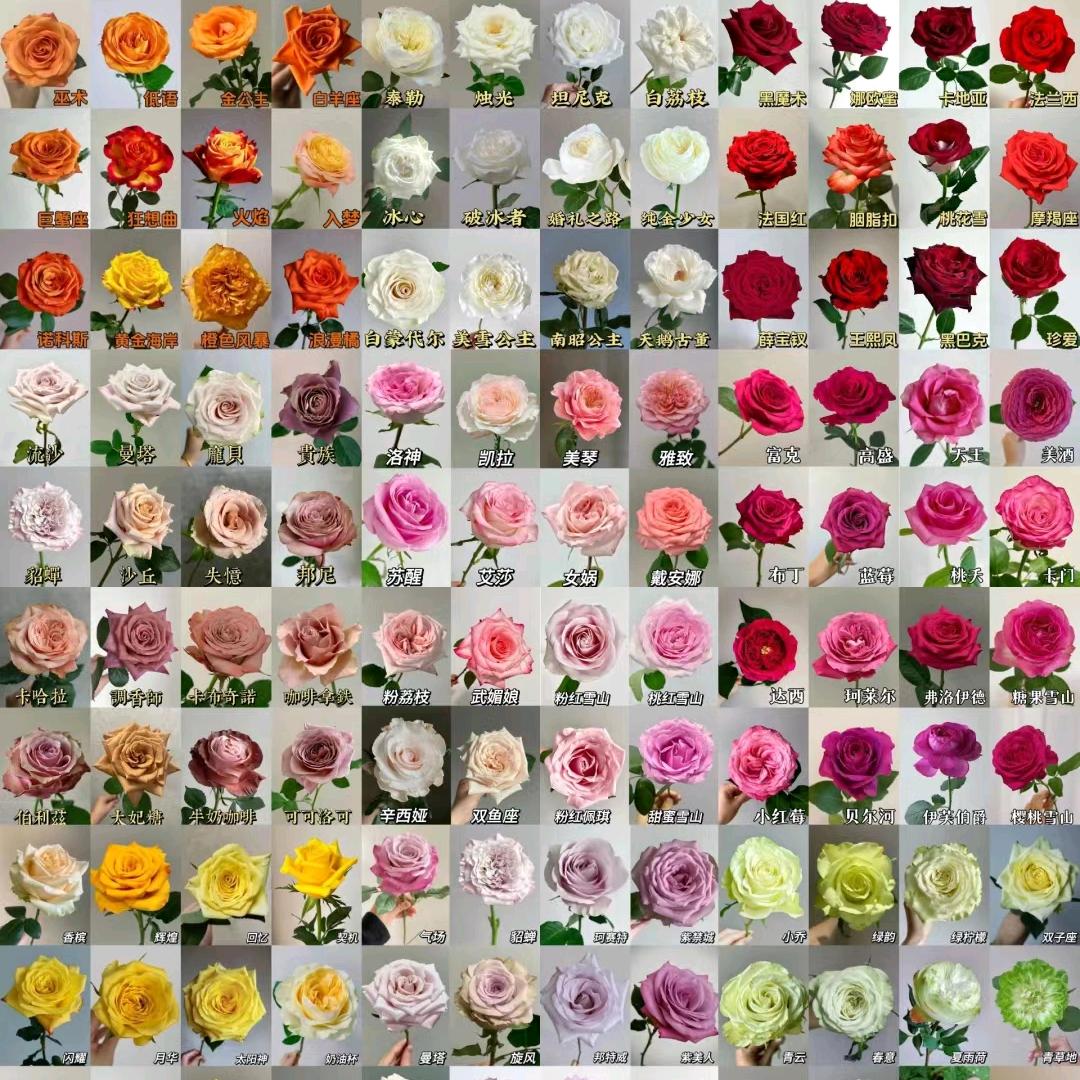 花意浓