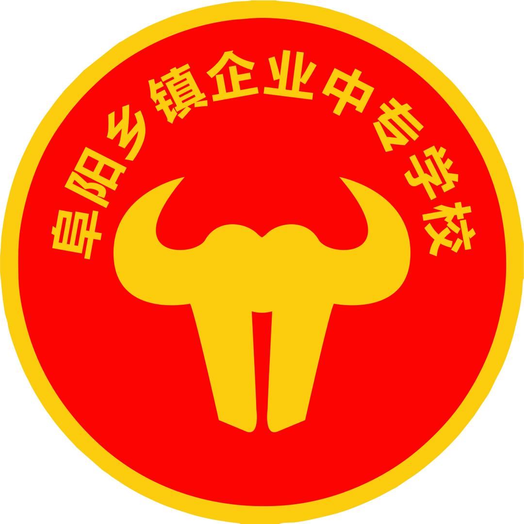 阜阳乡镇企业学校