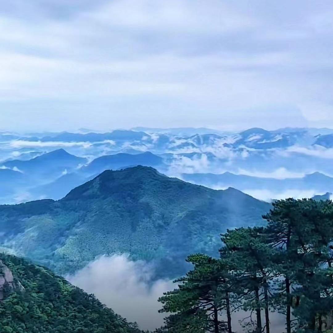 刘续