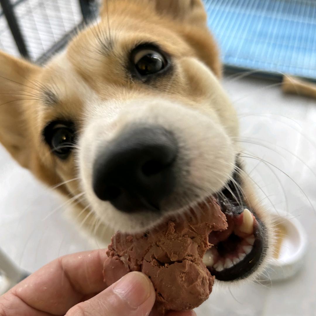 二宝爱吃肉
