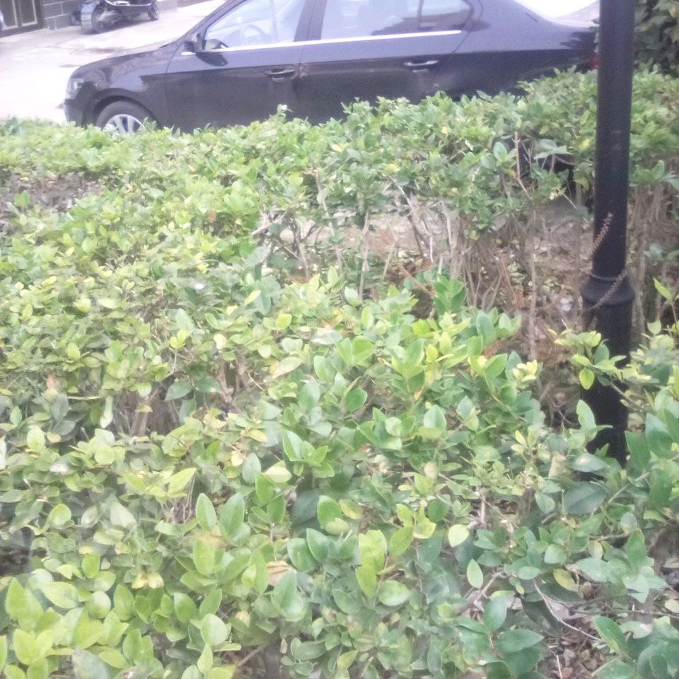 江西抖音益尘百货小店