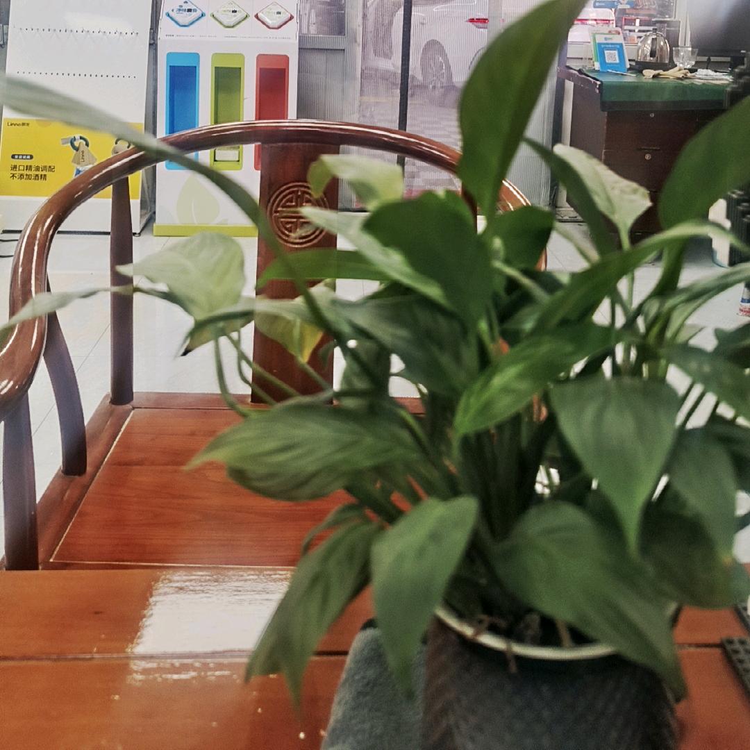 夏天