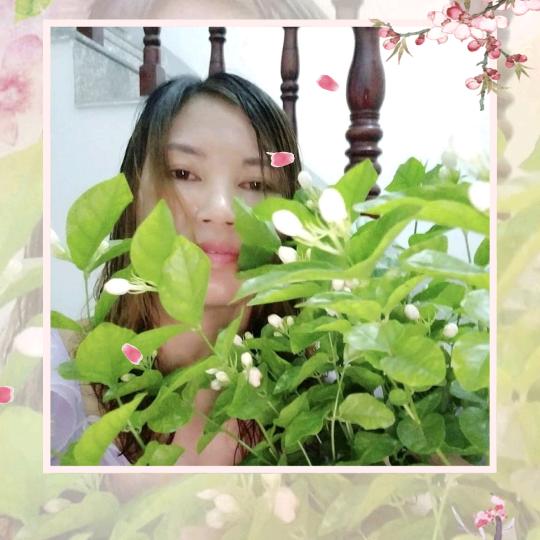 小英