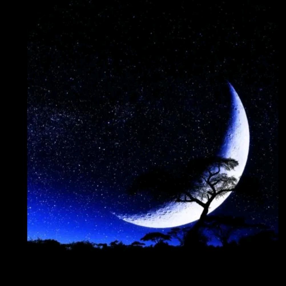 星星与月亮