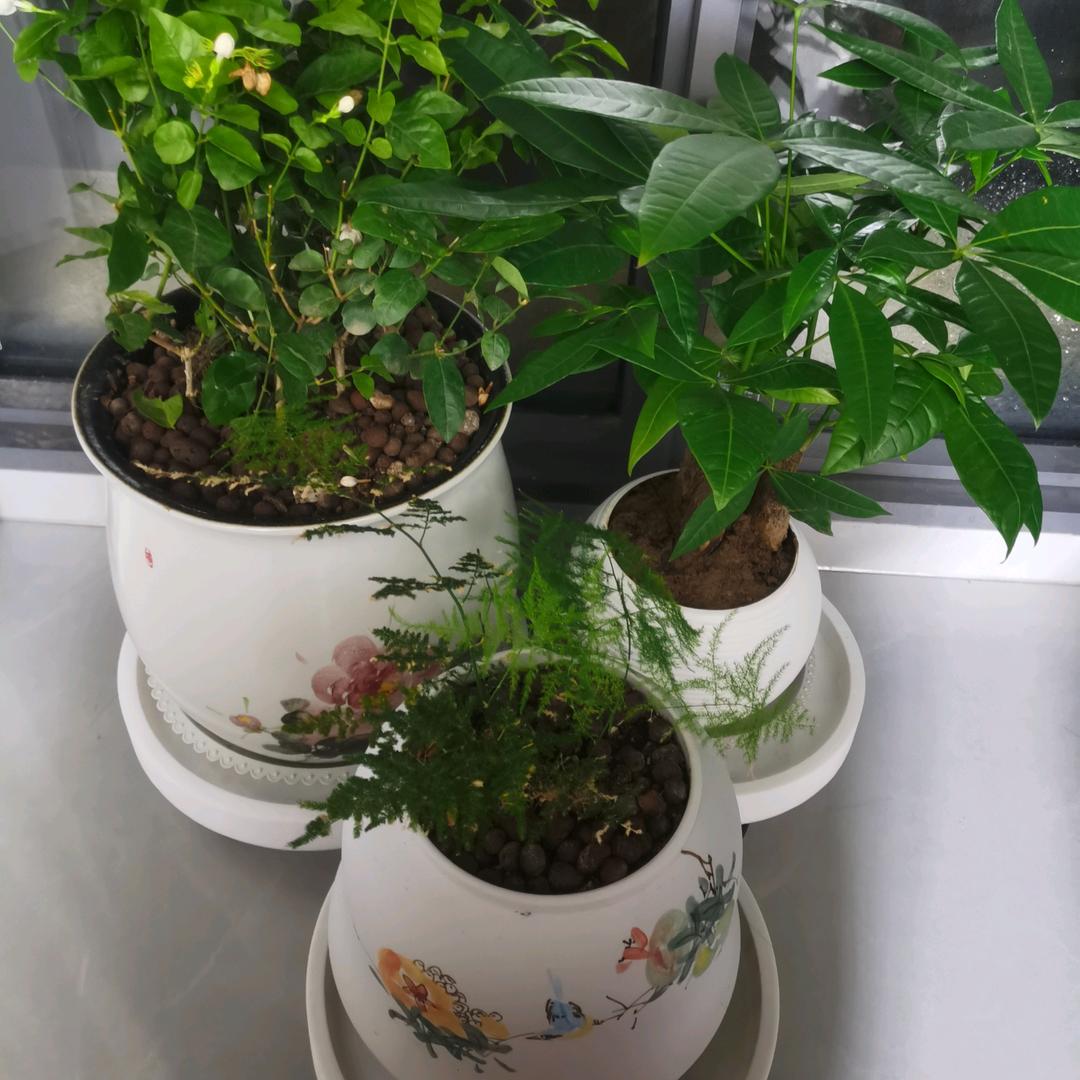 开心一笑把烦恼忘掉。