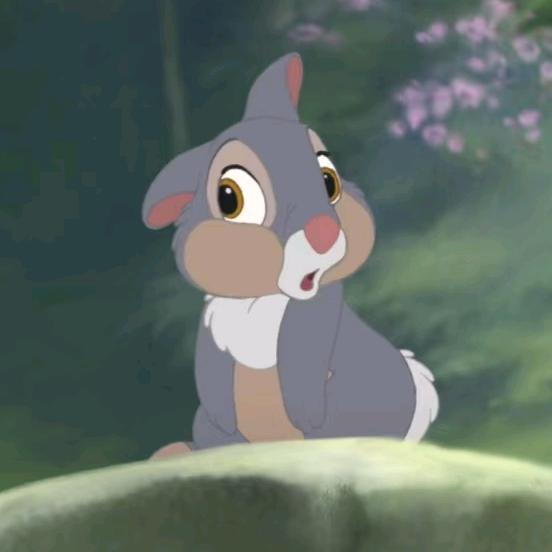 小兔子眉头一皱