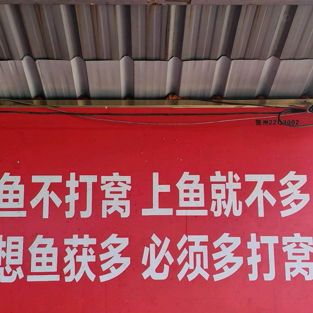 鱼何园啊飞钓场：18个78459772