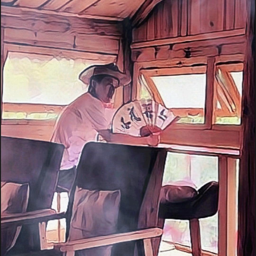 又双叒叕被鸟撞了
