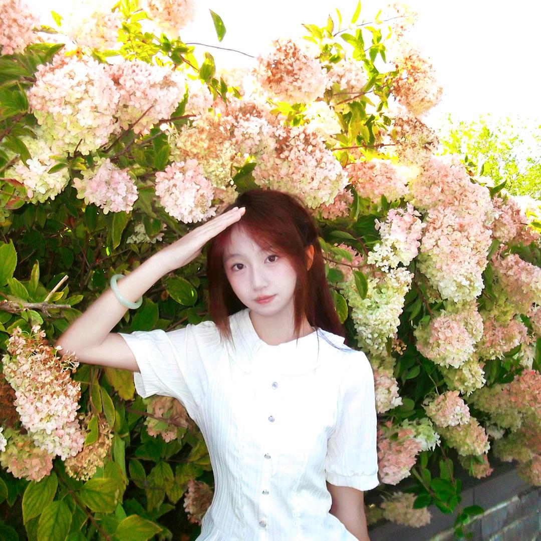 缝叶莺