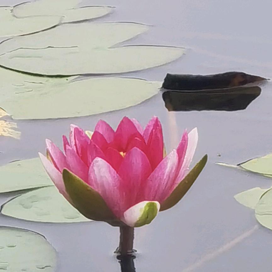 用户6054551222899